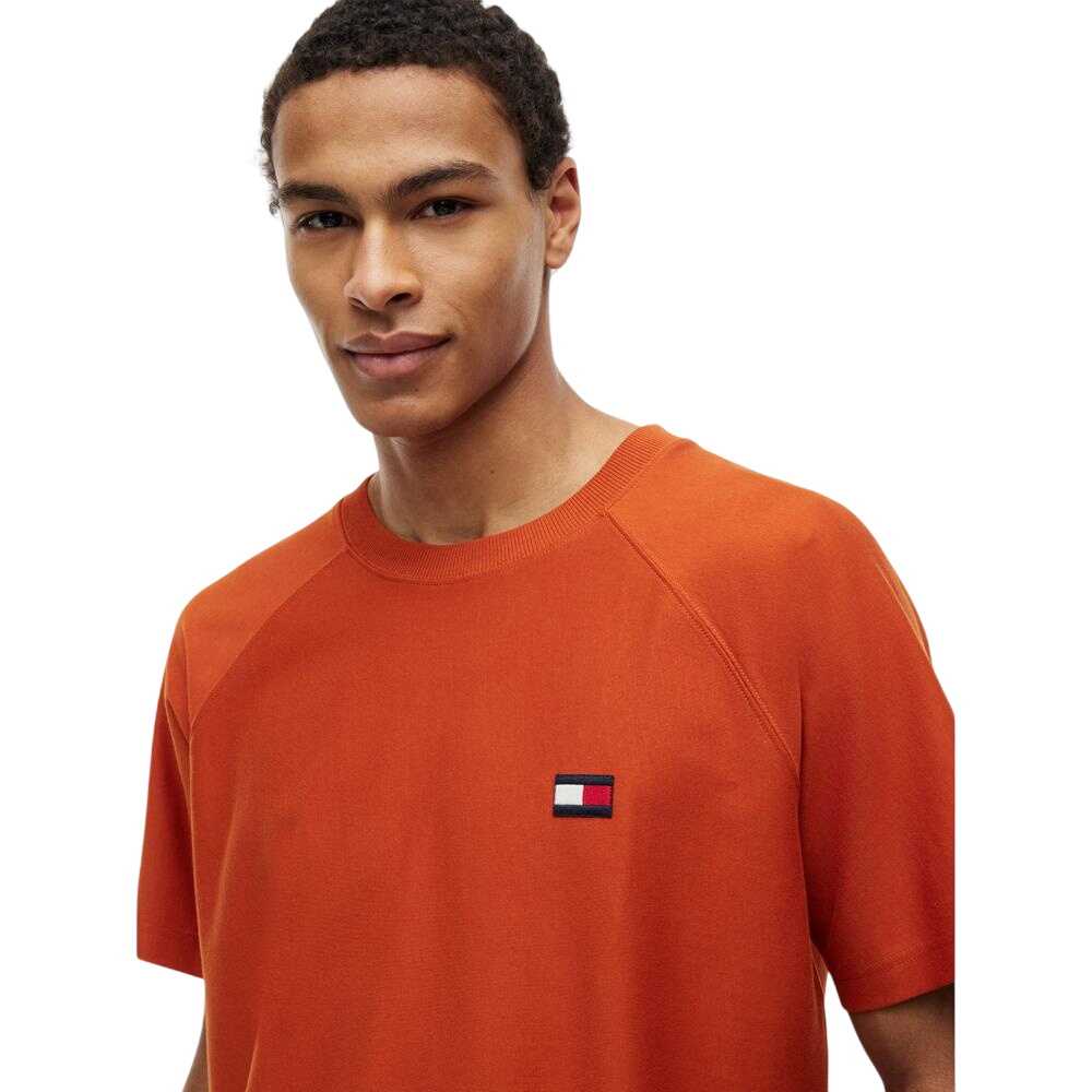 Tommy Hilfiger Flag Elevated Tee